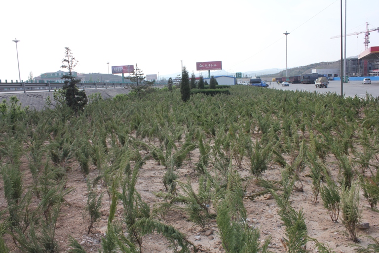 �������ٹ�·����(xi��n)��վ�^(q��)�G������ȫ��չ�_(k��i)